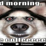 Good morning I Like Coffee