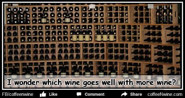 I wonder which wine goes well with more wine