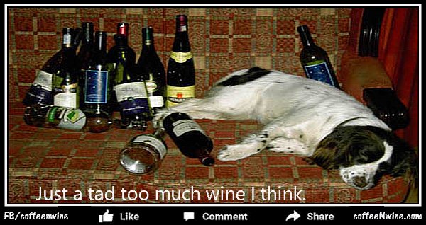 Just a tad too much wine I think