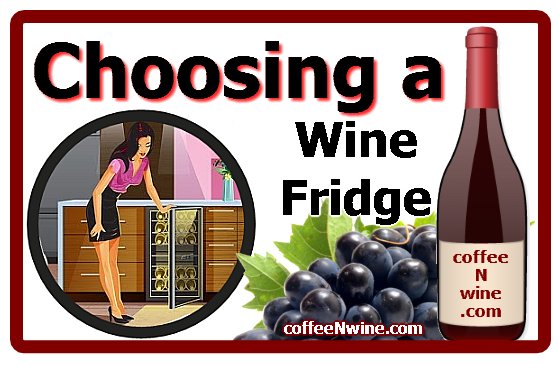 Choosing a Wine Fridge