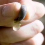 Chapter 01 Introductiona and definition of wine 01…