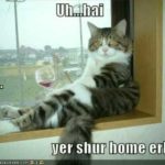 funny-pictures-cat-drinking-wine…