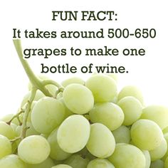 Most important wine facts