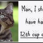 12th cup
