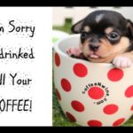 Sorry I Drinked All Your Coffee FB